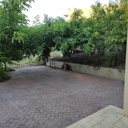 Under The Trees
