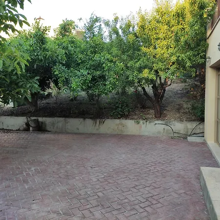 Under The Trees Apartment